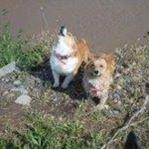 Meet your Posher, Deb